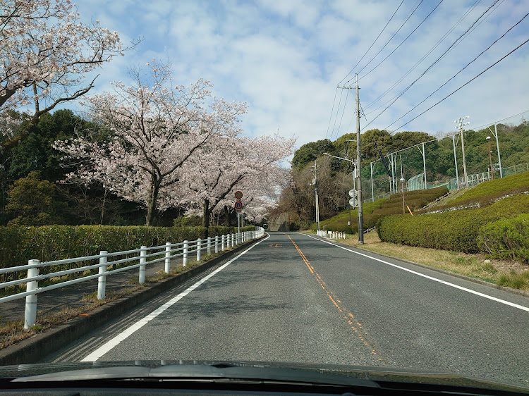 の投稿画像4枚目