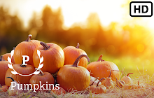 Pumpkins HD Wallpapers New Tab small promo image