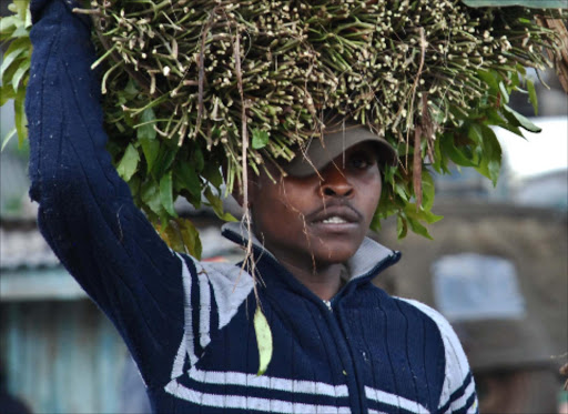 OVERSUPPLY: A farmer takes his miraa to a market in Maua.