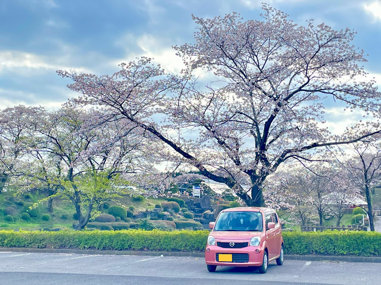 モコのドライブ・桜コラボに関するカスタム事例の投稿画像1枚目