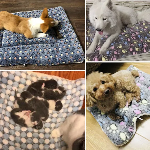 Flannel Thickened Dog Bed Mat Soft Pet Sleeping Mat for Small Medium Large Dogs Cats Winter Warm Pet Blanket Pet Supplie