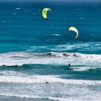 Contrasti e colori di ali nel cielo di 