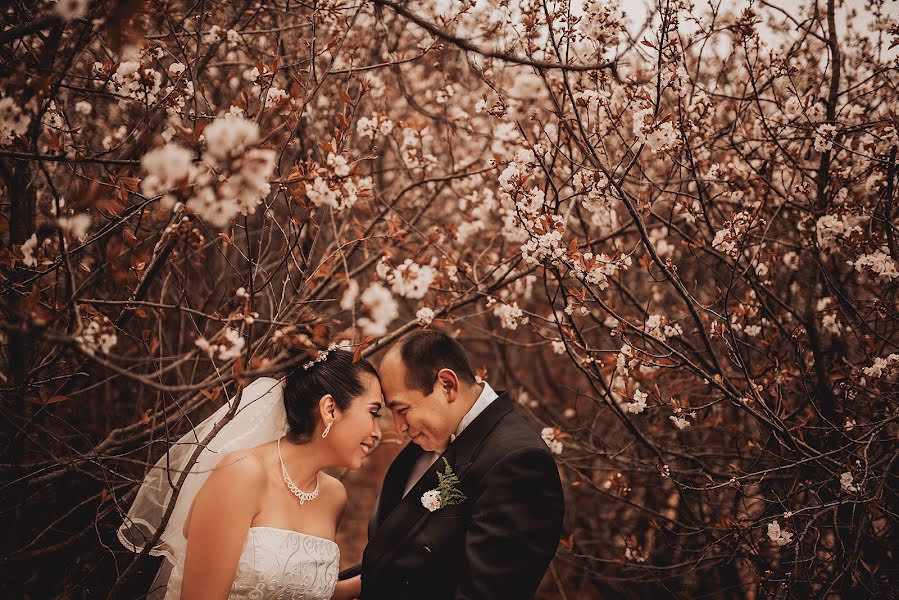 Fotografo di matrimoni Wilder Córdova (wilder). Foto del 21 marzo 2017