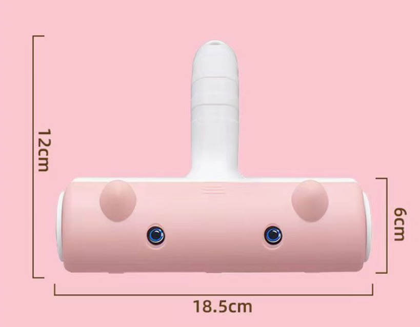 Éliminateur de poils de chat et chien bidirectionnel. Nettoie efficacement les poils d'animaux. Parfait pour meubles et textiles.