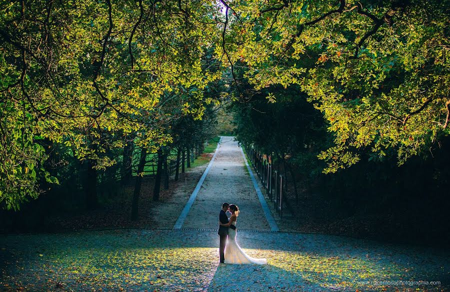 Fotografo di matrimoni Rui Cardoso (ruicardoso). Foto del 5 novembre 2014