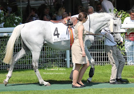 Grande Course de haies d'Auteuil 2015 (H., Gr.I, Auteuil) 7-06 : Un temps pour tout MhQ_1X1TaettqXtsgGipj2qFFoGBU4KevqRIsAuQuMpV=w276-h194-p-no