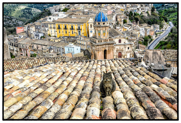 miao da Ibla di Diana Cimino Cocco