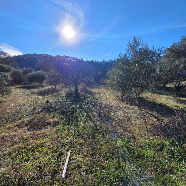 Vente terrain  1132 m² à Cuges-les-Pins (13780), 320 000 €