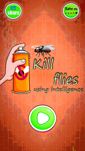 Kill Flies - Insect killer Spray game