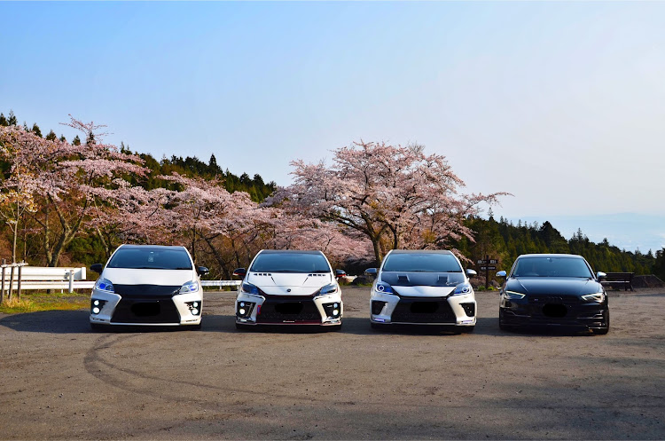 プリウス G'sの箱根ターンパイク・桜コラボ・桜のトンネル・箱根大観山に関するカスタム事例の投稿画像12枚目
