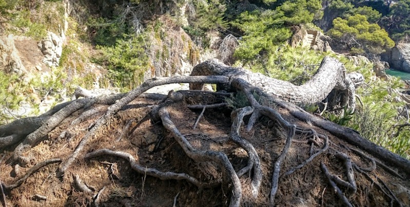 Camino de Ronda (Коста-Брава), прогулка в районе Platja d'Aro