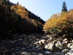 ヒロ沢出合