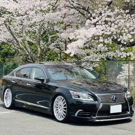 Novのプロフィール画像