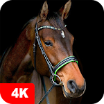 Cover Image of Baixar Papéis de parede de cavalos 4K 5.0.62 APK