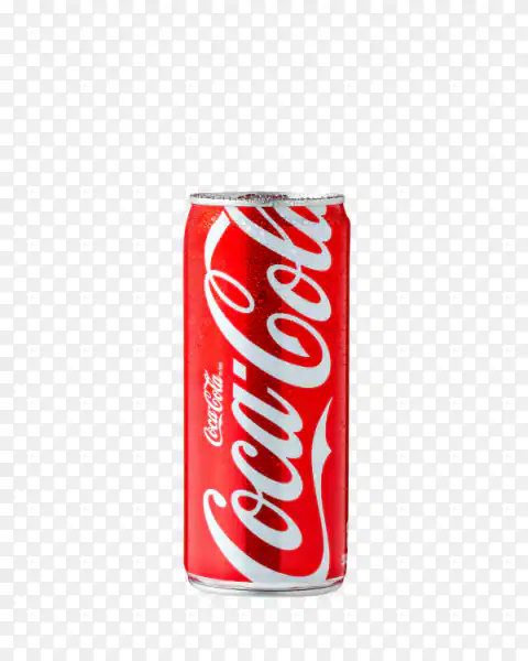 Coca Cola Can 300ml