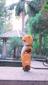 Mascot Hoá Trang Orange Bear - Size 150Cm Đến 185Cm - Gấu Hoá Trang