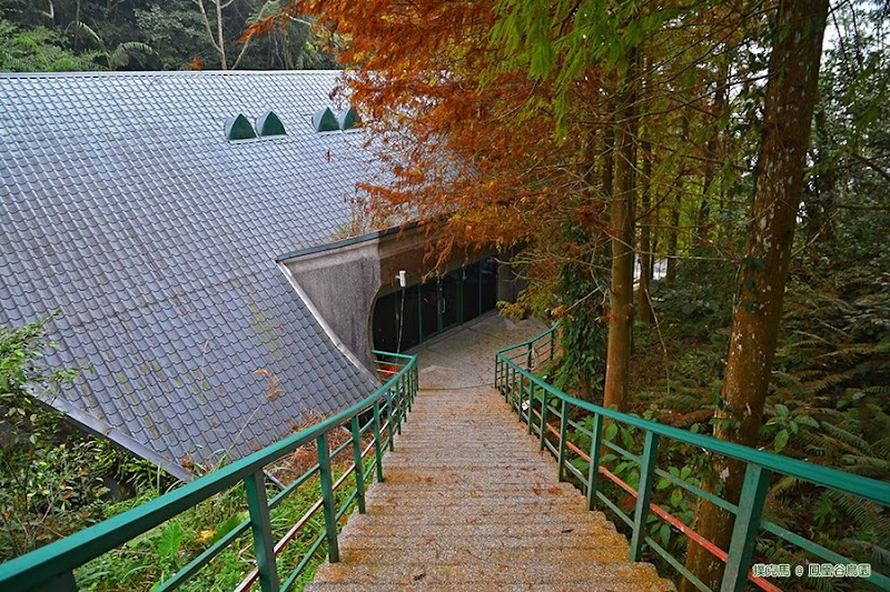 鳳凰谷鳥園生態園區松鶴園