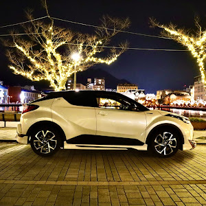 C-HR ZYX11