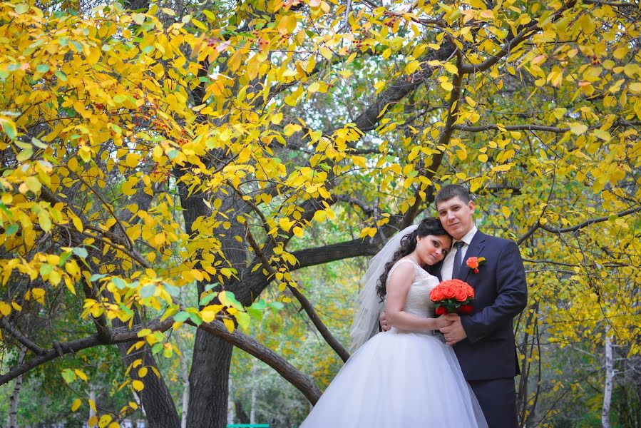 Photographe de mariage Ekaterina Lushnikova (fotokarpik). Photo du 2 février 2017