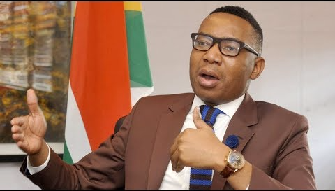 Deputy Minister of Higher Education and Training‚ Mduduzi Manana‚ has admitted to slapping a woman in a club in Fourways, north of Johannesburg.