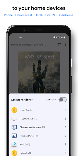 Screenshot BubbleUPnP for DLNA/Chromecast