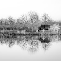 Freddi riflessi invernali di 