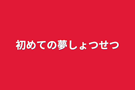 初めての夢小説