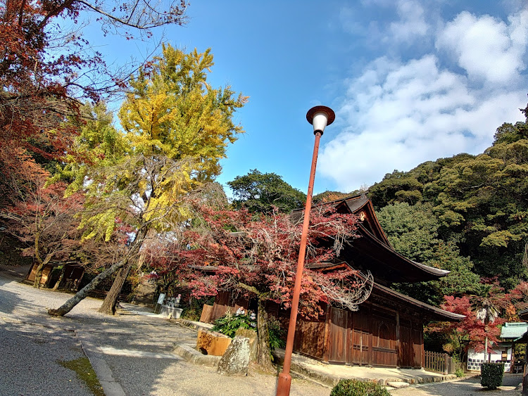 695の紅葉・ぼっちドライブ・定光寺に関するカスタム事例の投稿画像4枚目