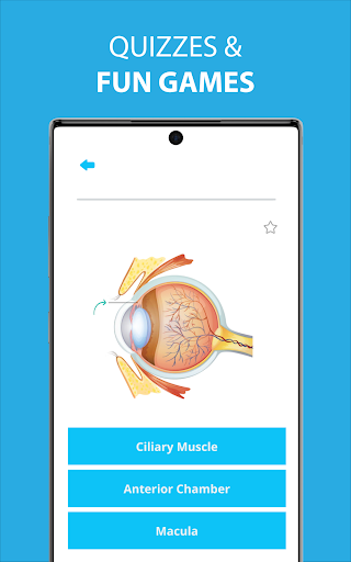 Screenshot Human Anatomy Learning - 3D