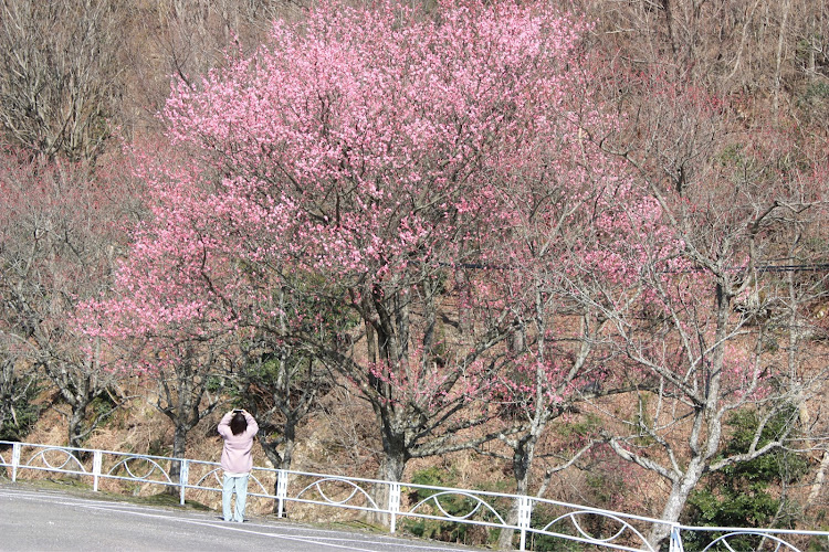 の投稿画像3枚目