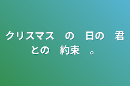 クリスマス　の　日の　君との　約束　。