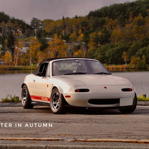 ロードスター NA8C