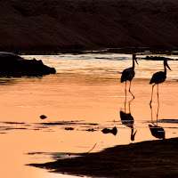 Incontri al tramonto di 