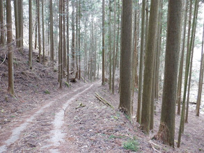 舗装路を歩く