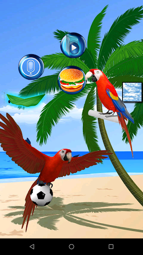 Screenshot Talking Parrot 2