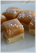 Caramel Topped Shortbread Bites was pinched from <a href="http://doughmesstic.com/2011/01/06/caramel-topped-shortbread-bites/" target="_blank">doughmesstic.com.</a>