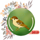 Download Nature Sounds - Relax Sounds - Birds Sounds For PC Windows and Mac