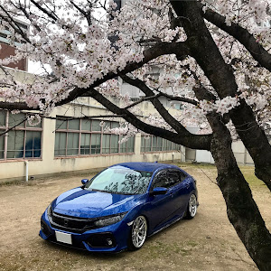 シビック FK7