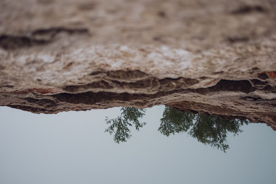 Düğün fotoğrafçısı Dinara Kurmakaeva (dinakyoller). 28 Mayıs 2019 fotoları