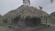 A child works on the roof of his house ahead of Cyclone Freddy returning in the Nicoadala district, near Quelimane, Zambezia, Mozambique, in this screengrab obtained from a video.