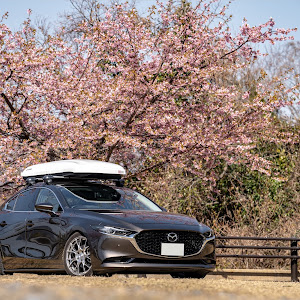 MAZDA3 BP8P