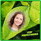 Leaf Photo Frames Download on Windows