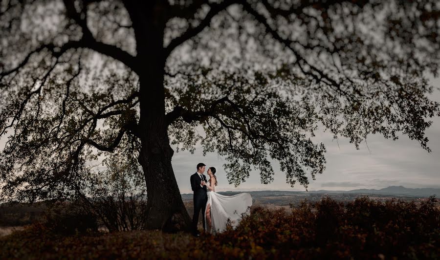 Wedding photographer Dejan Videnovic (videnovic). Photo of 24 August 2022