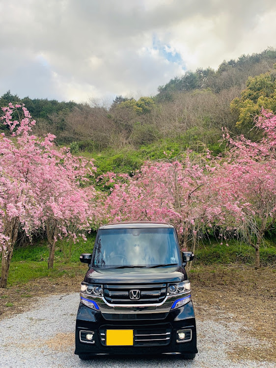 Nボックスカスタムのドライブ・桜に関するカスタム事例の投稿画像4枚目