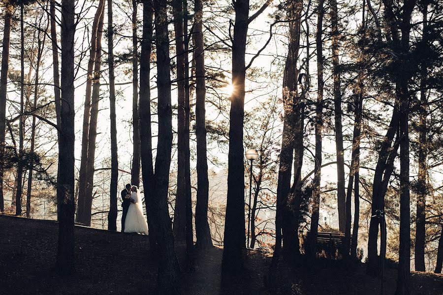 Fotografo di matrimoni Dmitriy Lopatin (goami). Foto del 3 marzo 2016