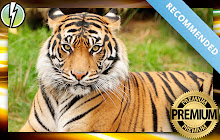 *NEW* Tigers HD Wallpapers New Tab Theme small promo image