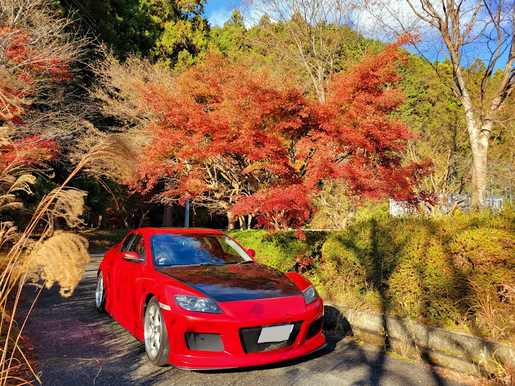 RX-8のぼっちドライブ・紅葉を求めて・12月にエントリーします・天理ダムに関するカスタム事例の投稿画像1枚目