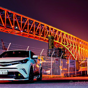 C-HR NGX50