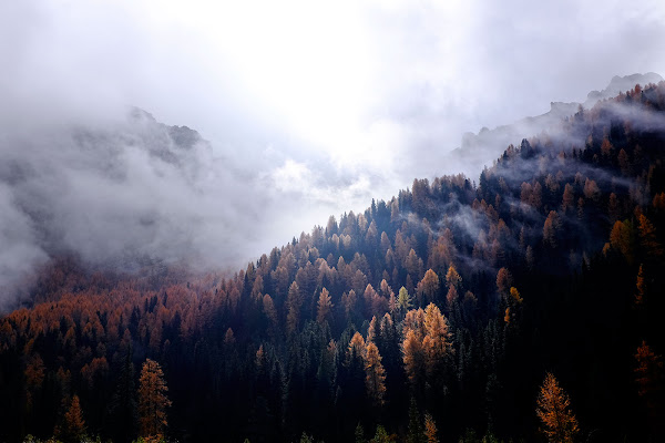 Forse il Montana di faranfaluca