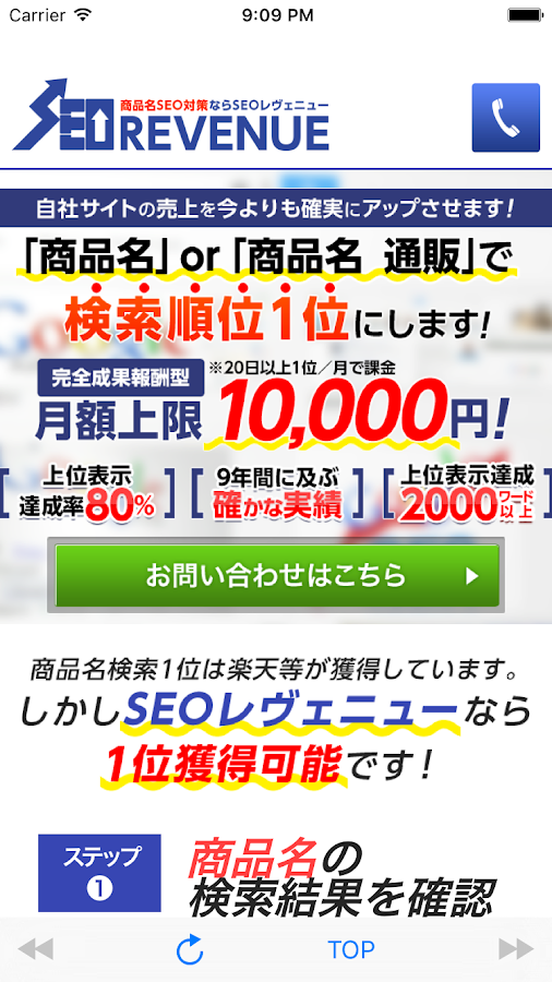 SEO-REVENUE Screen 3